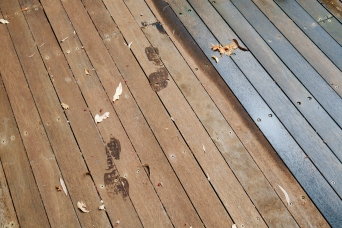 After the rain - footprints